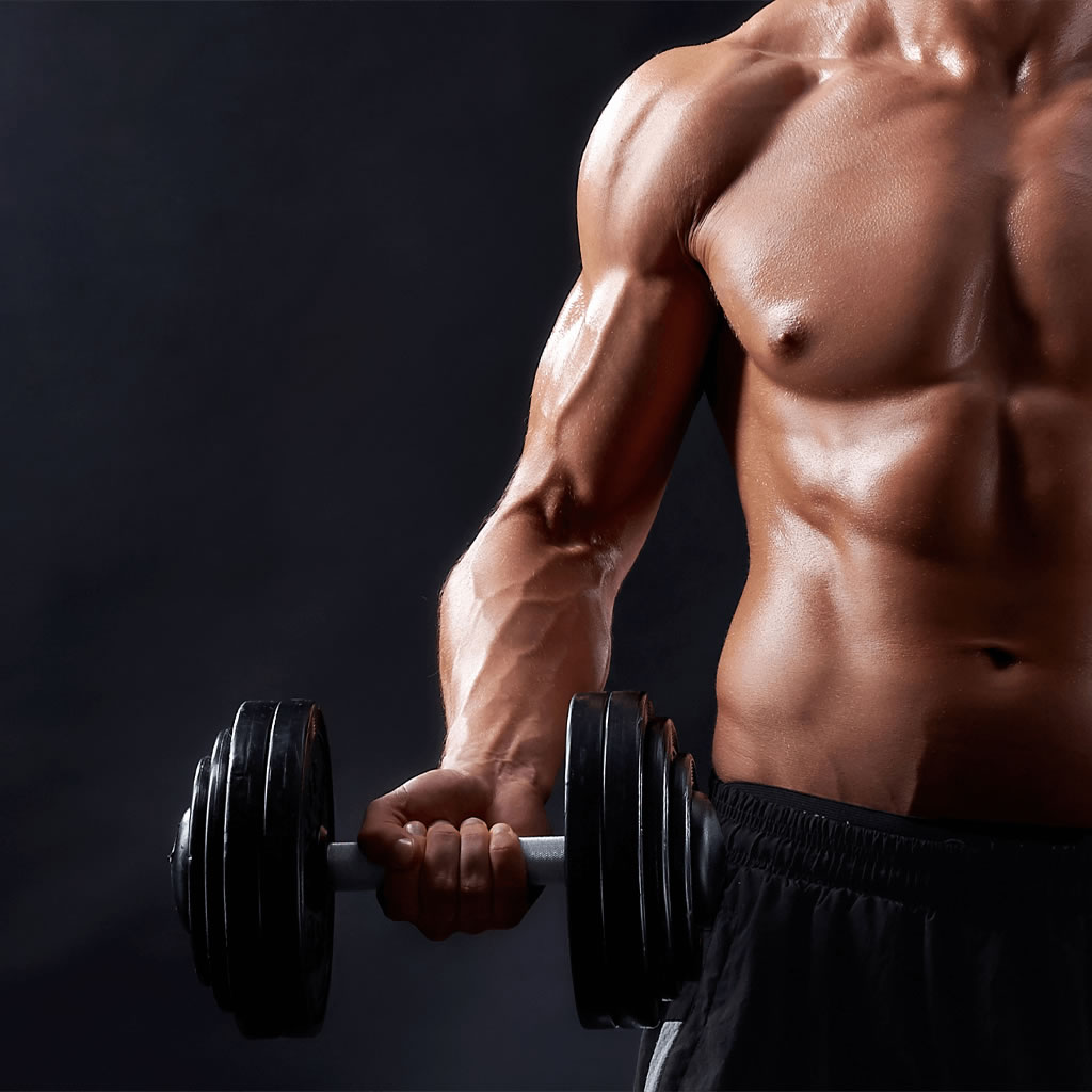 Musculacao